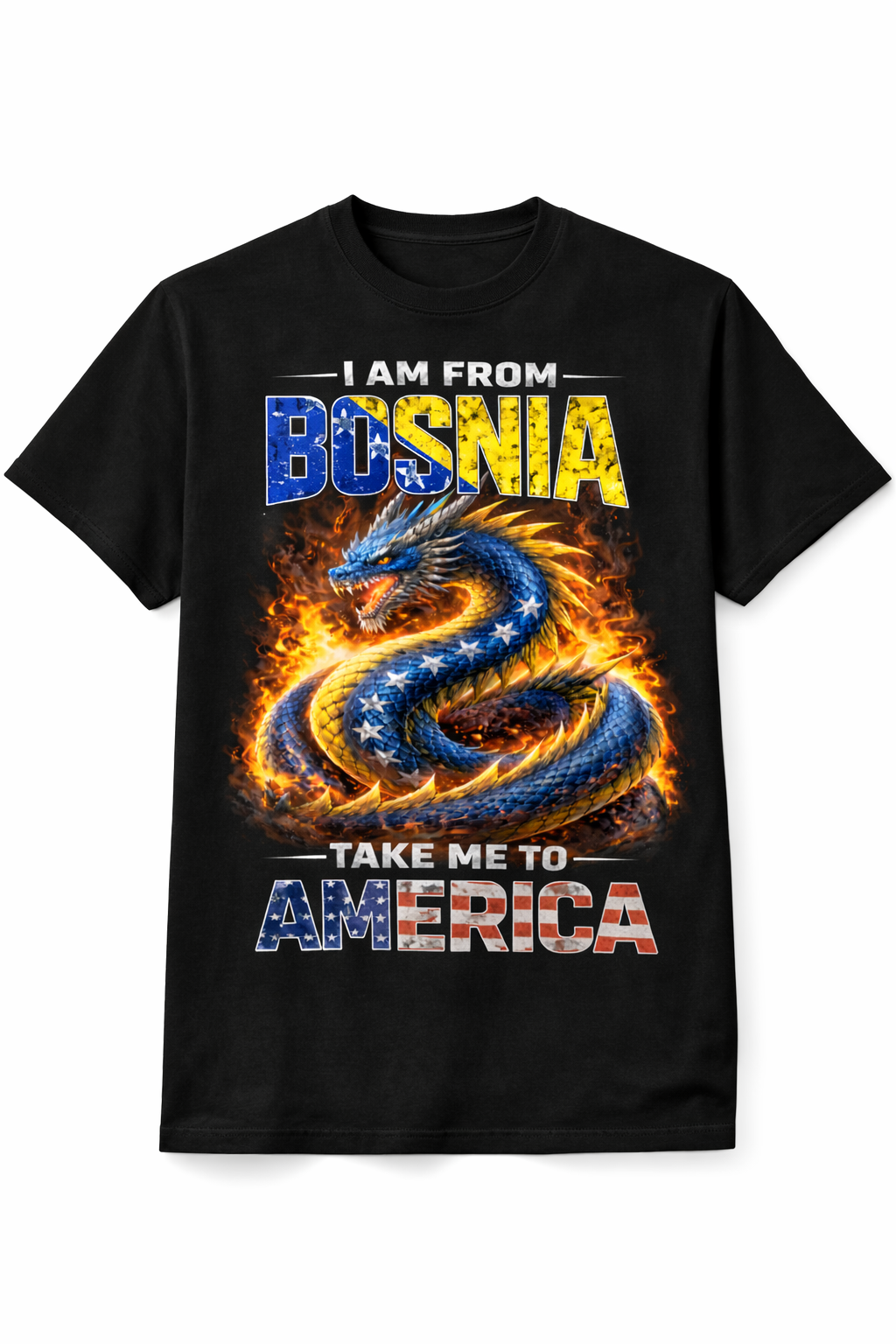 I AM FROM BOSNIA TAKE ME TO AMERICA