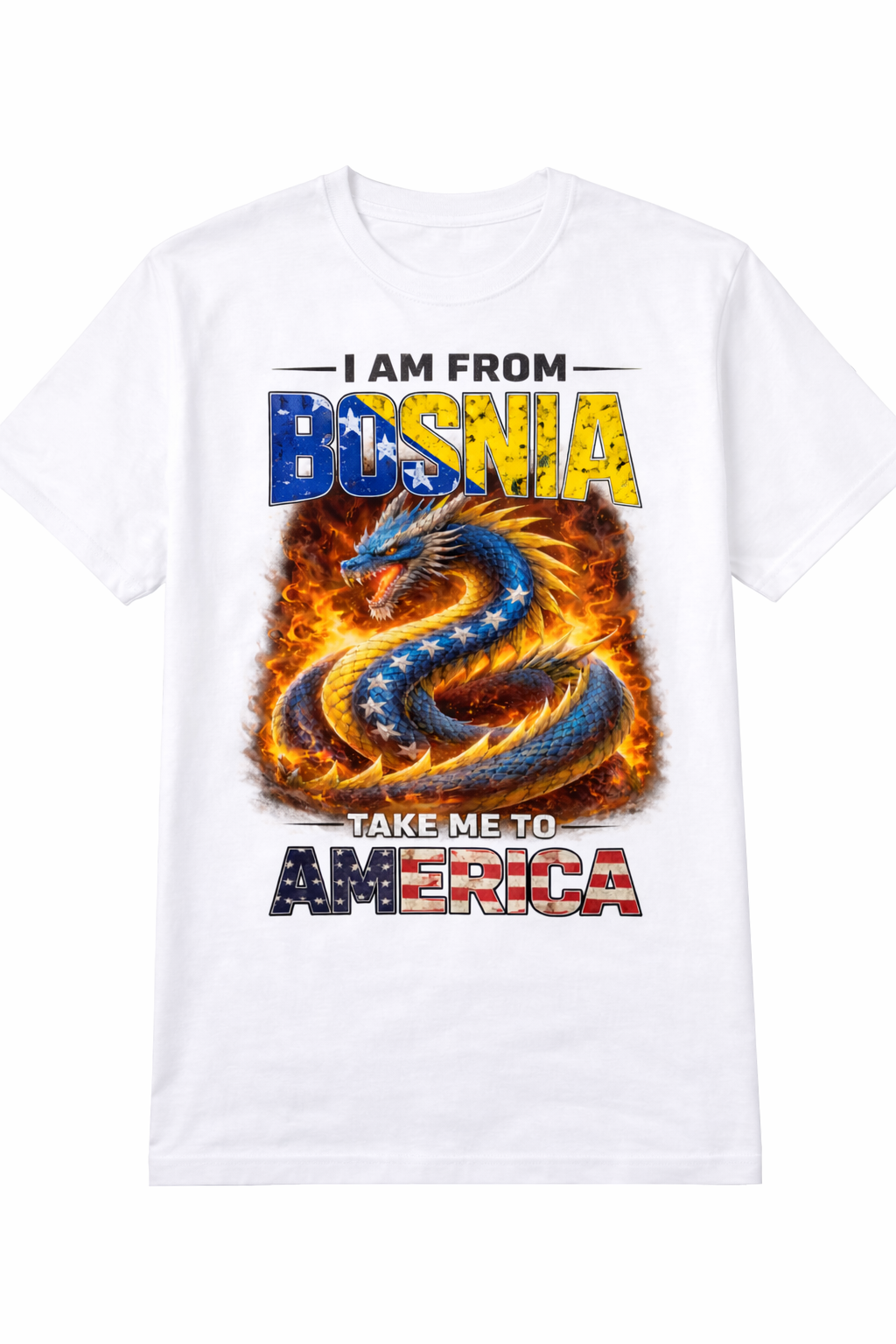 I AM FROM BOSNIA TAKE ME TO AMERICA